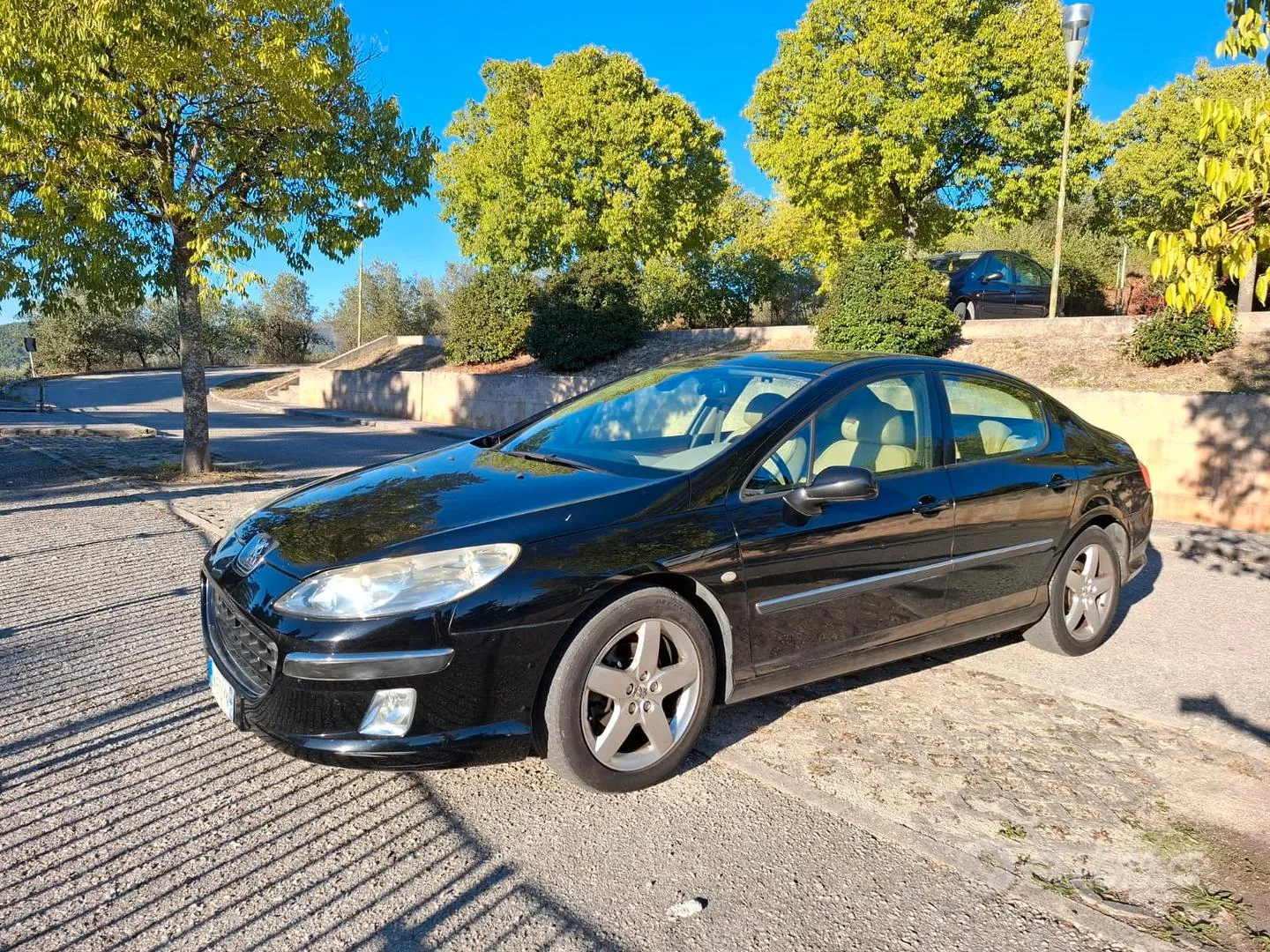 Peugeot 407