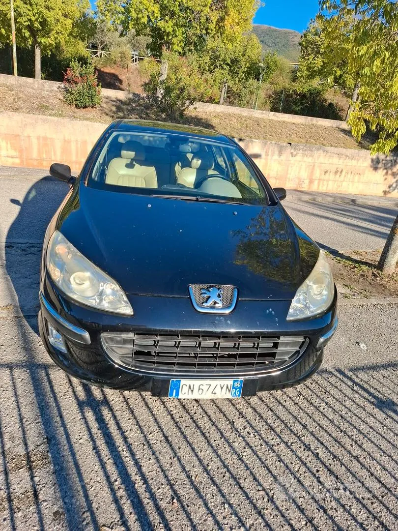 Peugeot 407 2004 photo 4