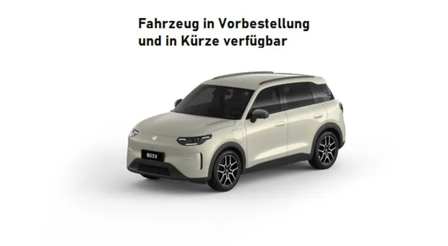 Leapmotor Sonstige
