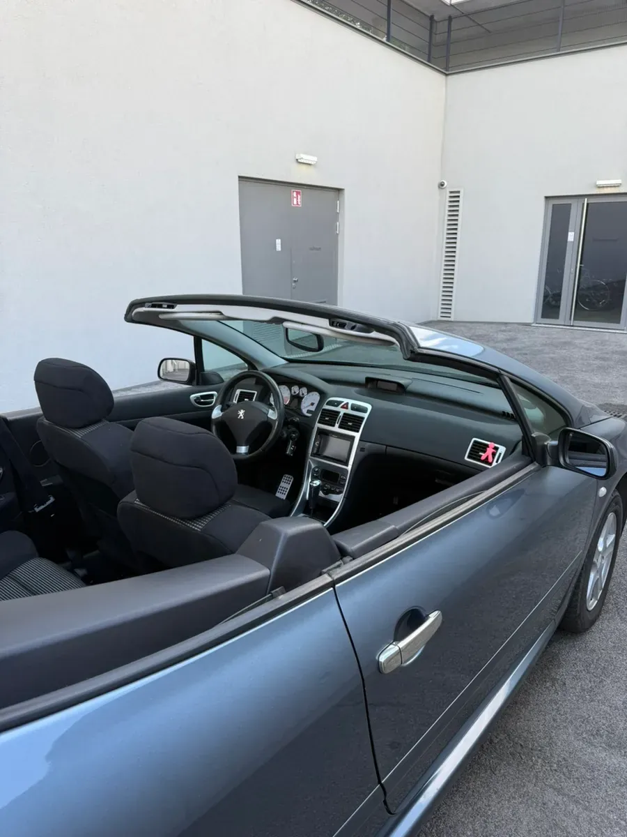 Peugeot 307 2004 photo 2