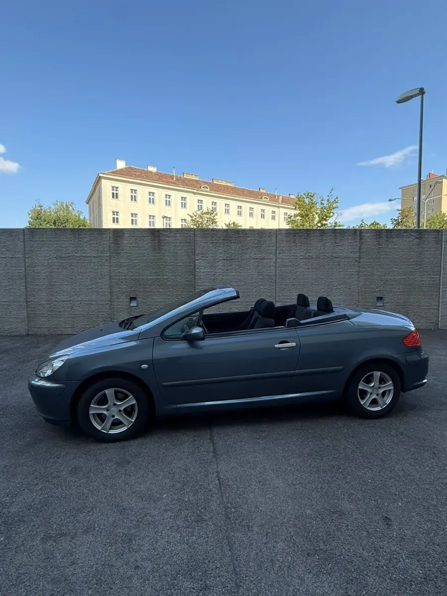 Peugeot 307 2004 photo 3