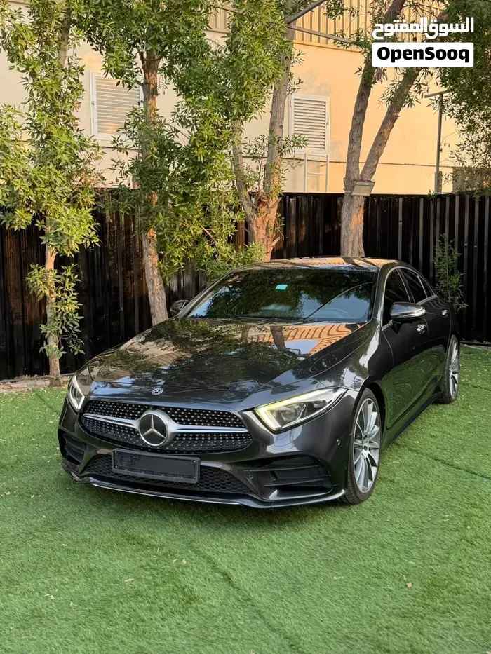 Mercedes-Benz Cls-Class 2019 photo 2
