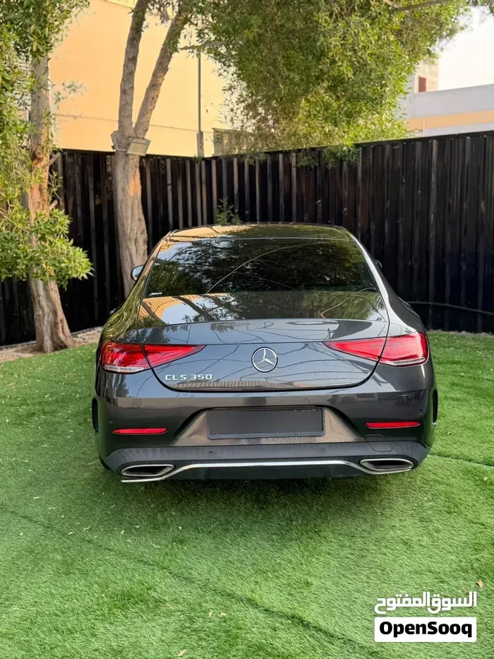 Mercedes-Benz Cls-Class 2019 photo 3