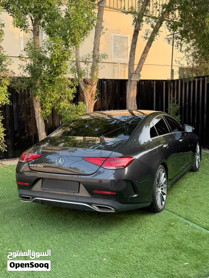 Mercedes-Benz Cls-Class 2019 photo 4