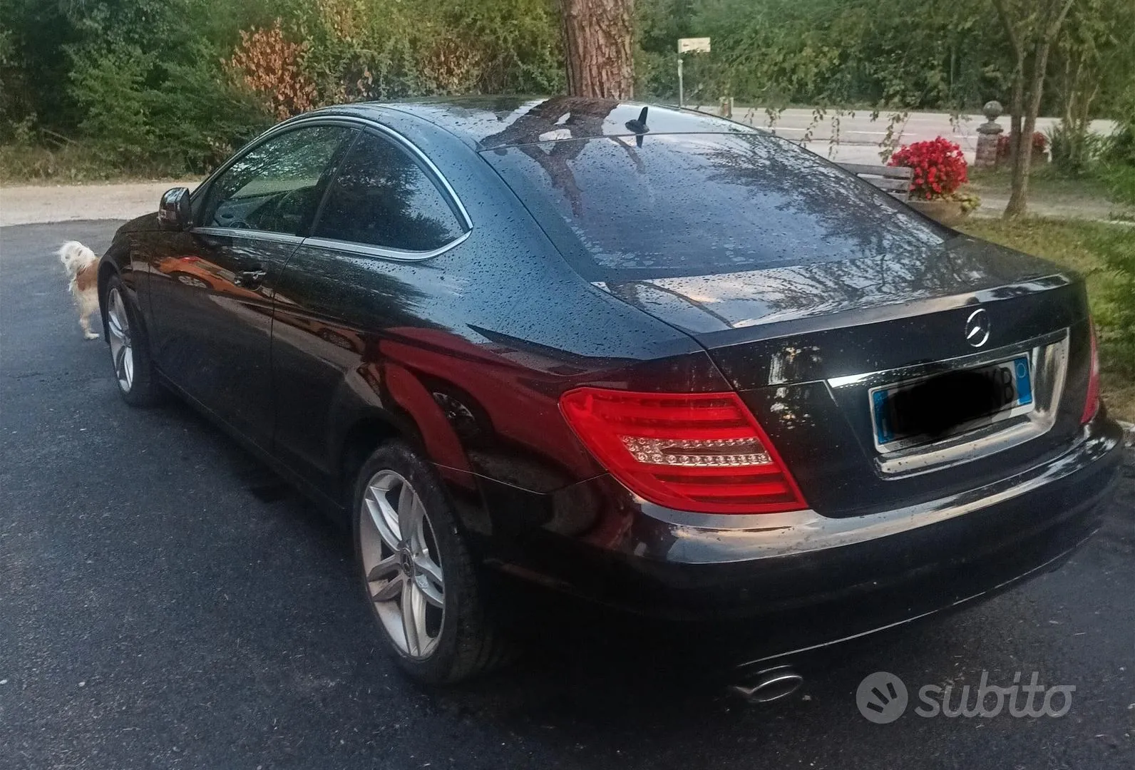 Mercedes-Benz C