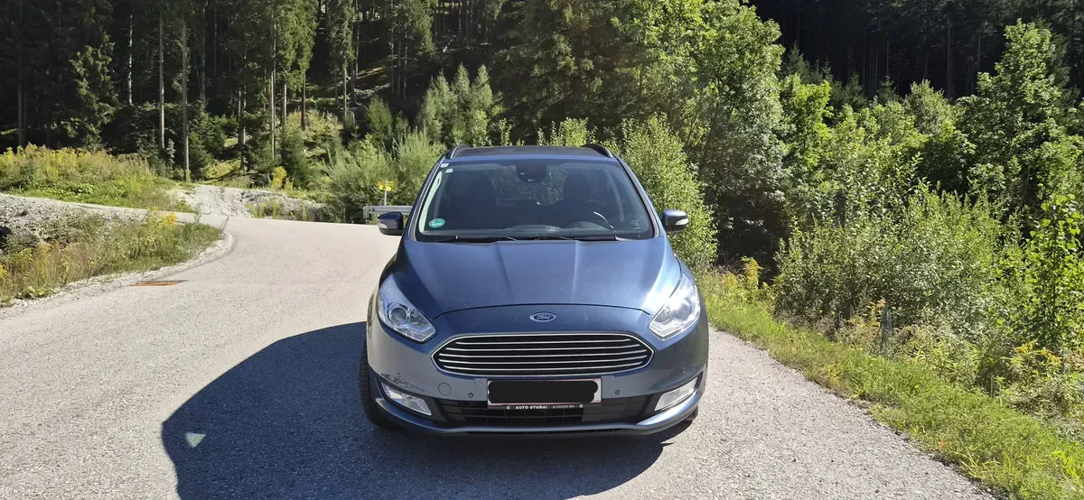 Ford Galaxy 2019 photo 3