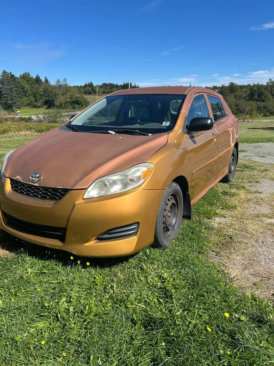 Toyota Matrix