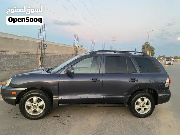 Hyundai Santa Fe 2005 photo 4