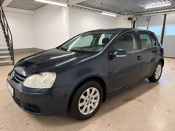 Volkswagen Golf I 2008 photo 2