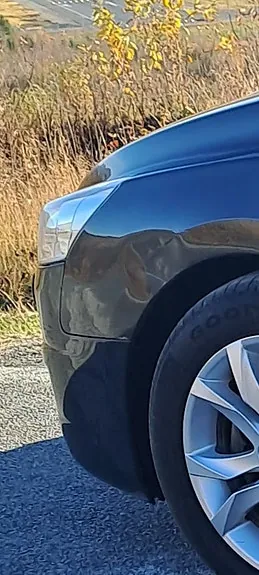Peugeot 508 2013 photo 5
