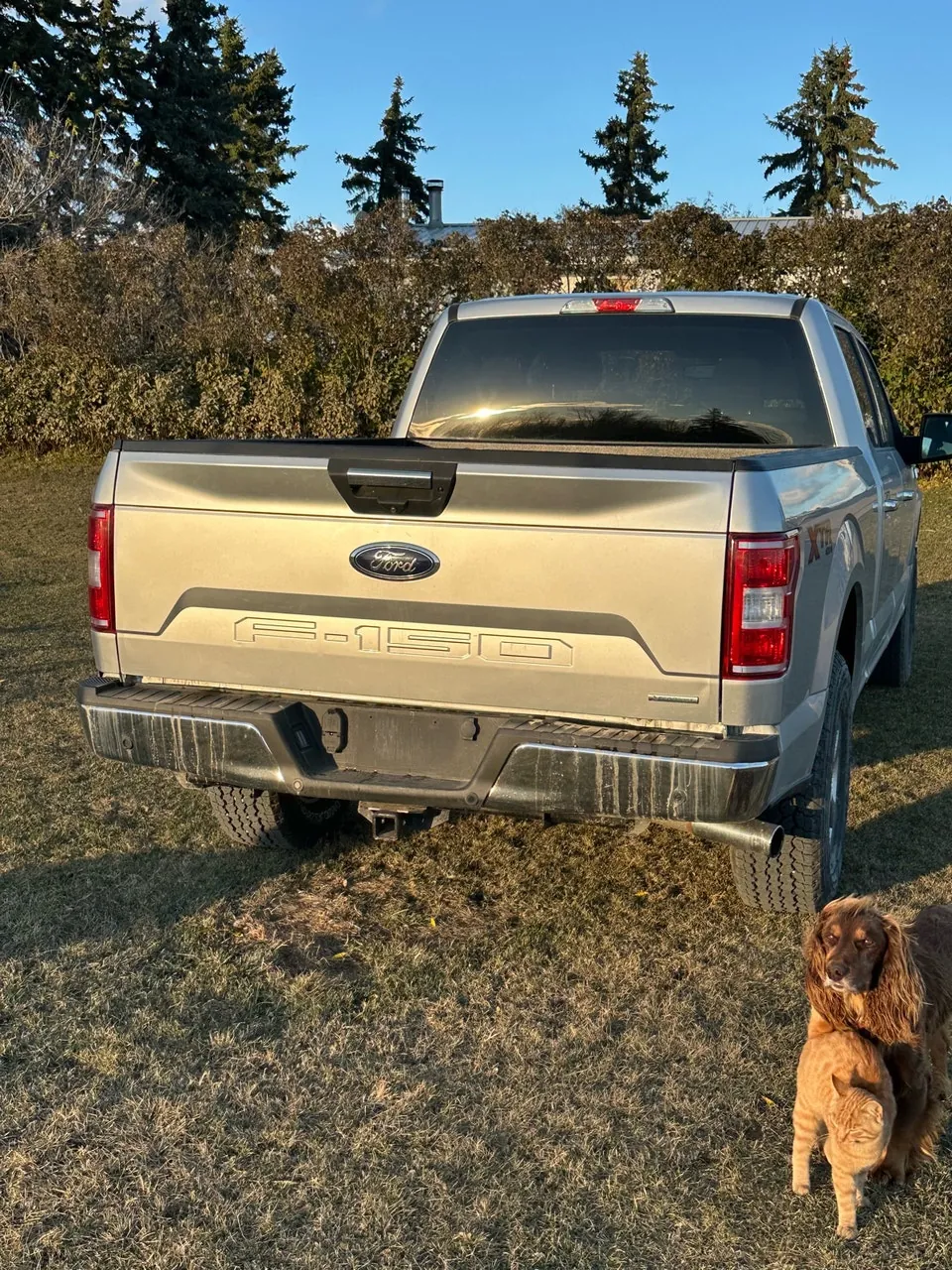 Ford F-150 2019 photo 4