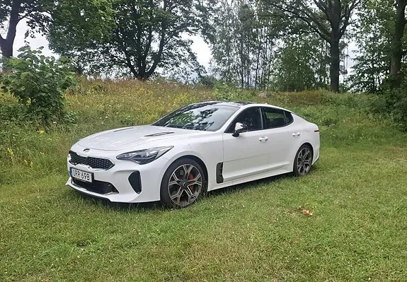 Kia Stinger 2019 photo 3