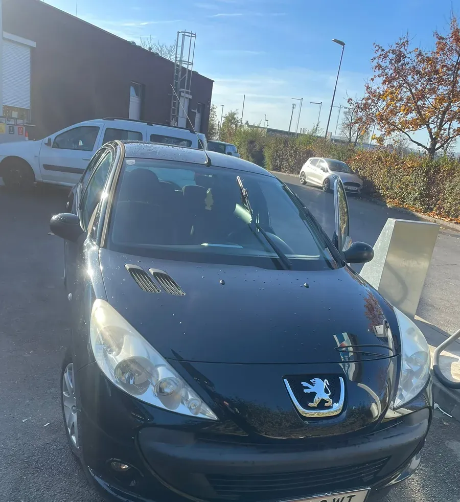 Peugeot 206 2009 photo 2