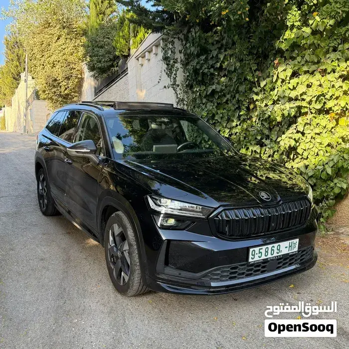 Skoda Kodiaq 2024 photo 2