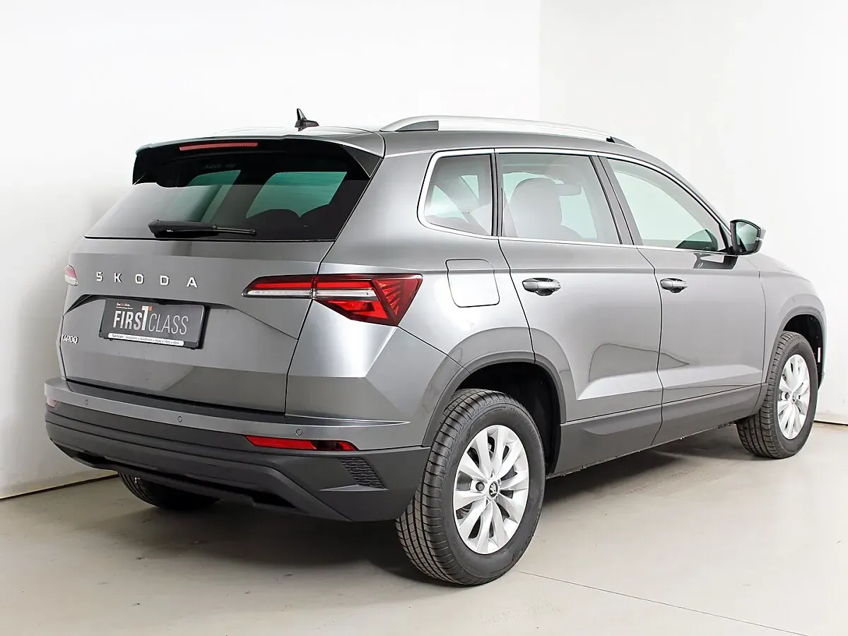 Skoda Karoq 2026 photo 2
