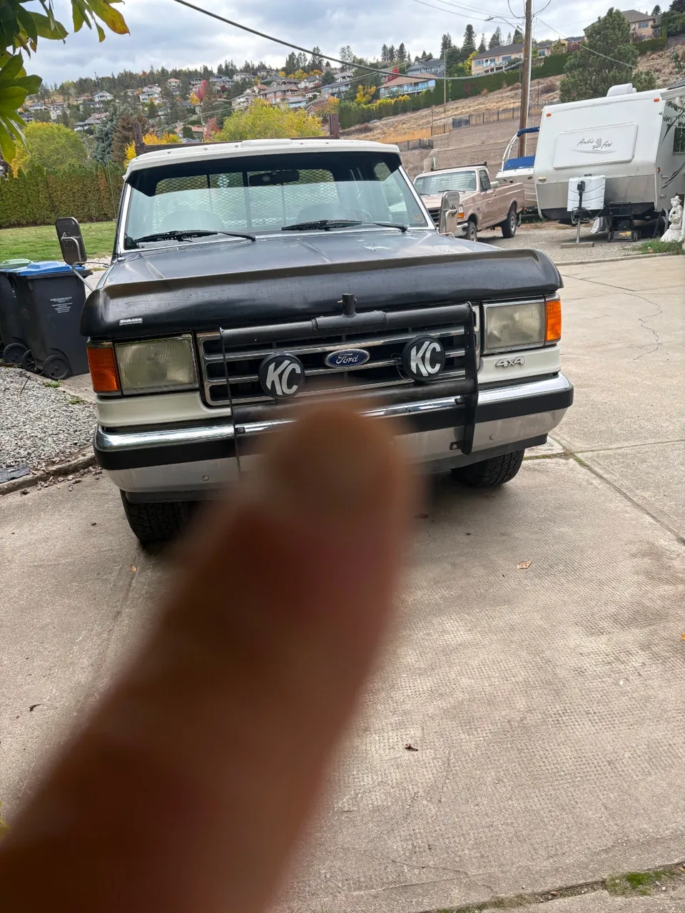 Ford F-150 1990 photo 2