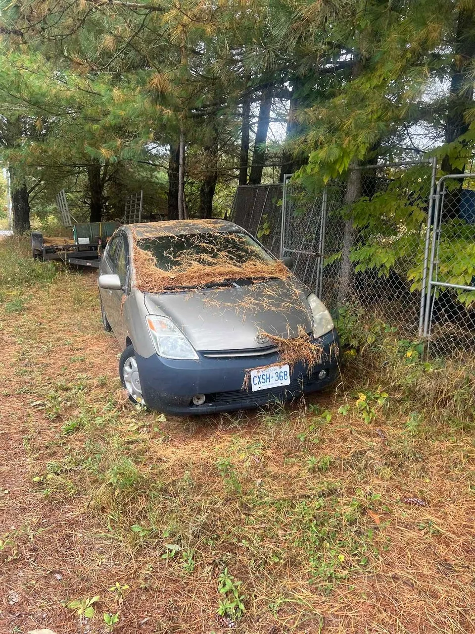Toyota Prius 2005 photo 2