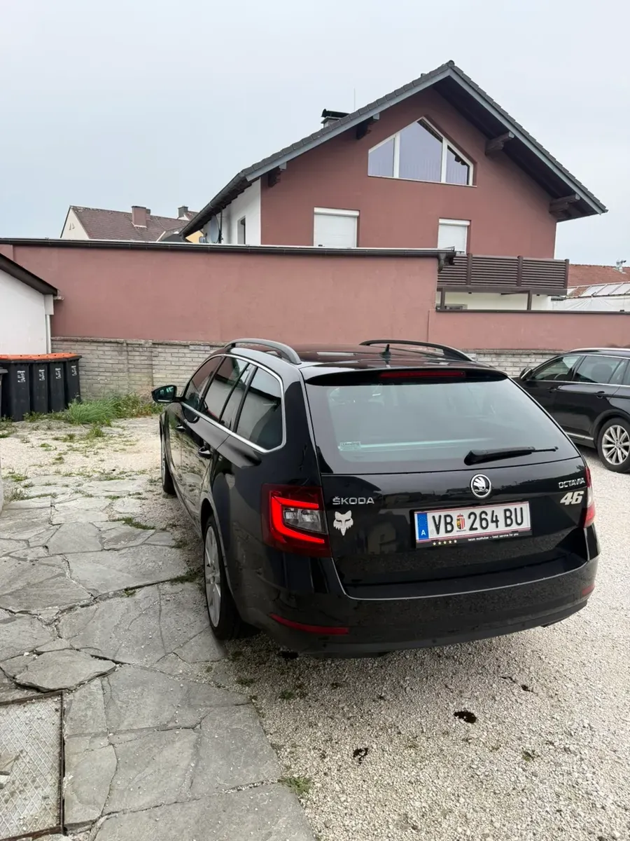 Skoda Octavia 2019 photo 3