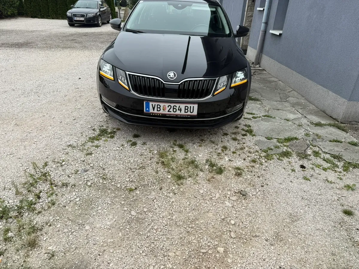 Skoda Octavia 2019 photo 2