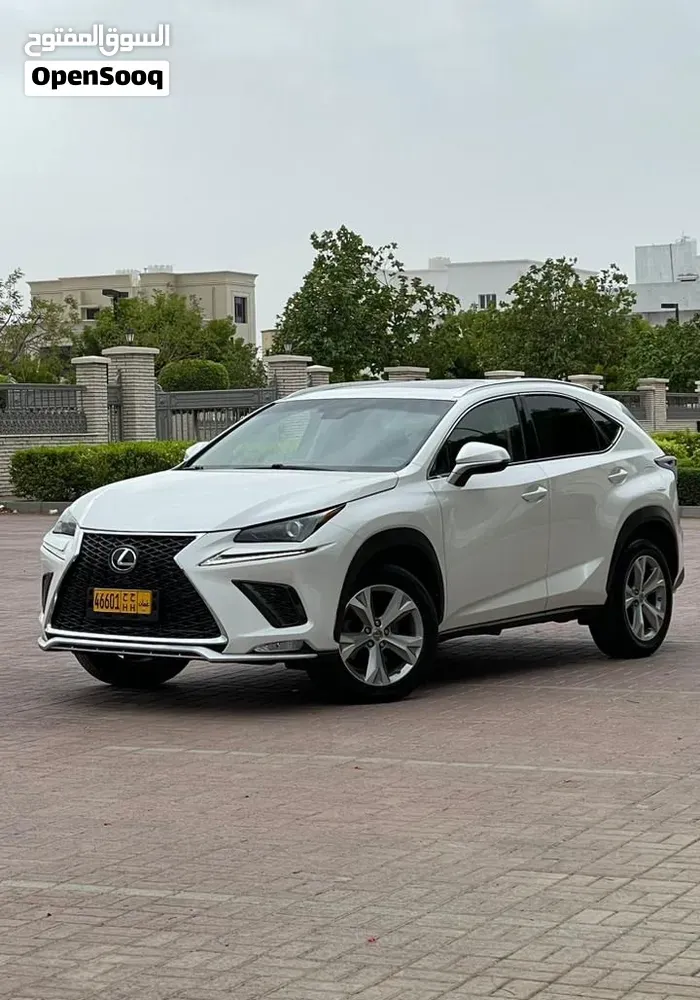 Lexus Nx 250 2017 photo 2