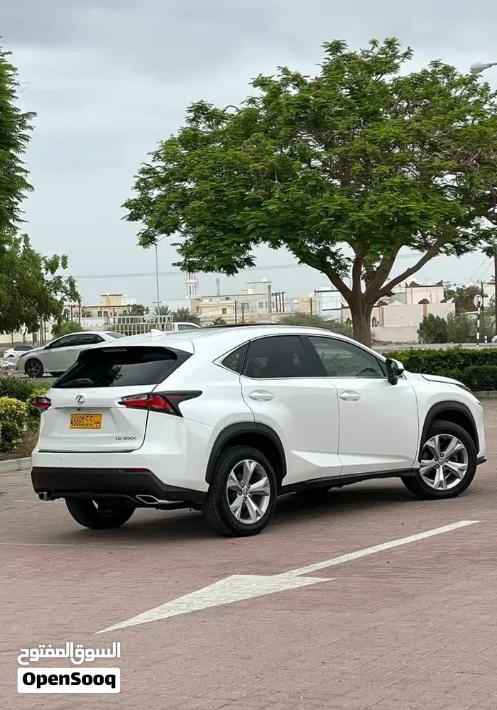 Lexus Nx 250 2017 photo 3