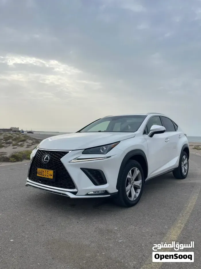 Lexus Nx 250