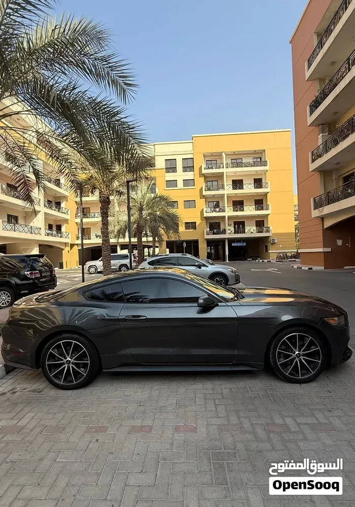 Ford Mustang 2017 photo 3