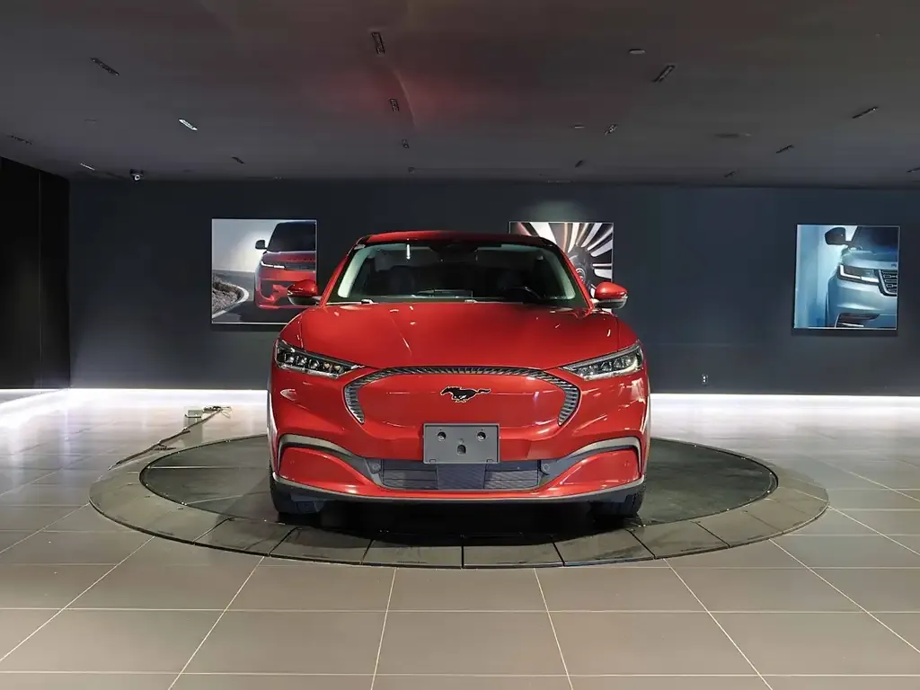 Ford Mustang Mach-E 2021 photo 2