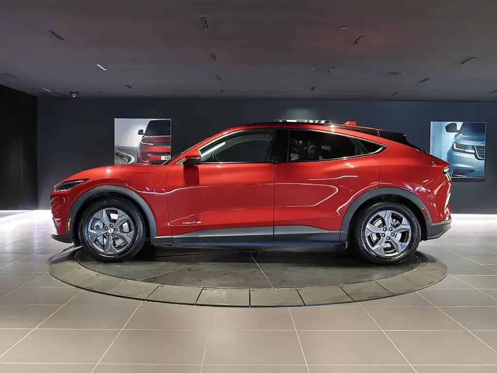 Ford Mustang Mach-E 2021 photo 5