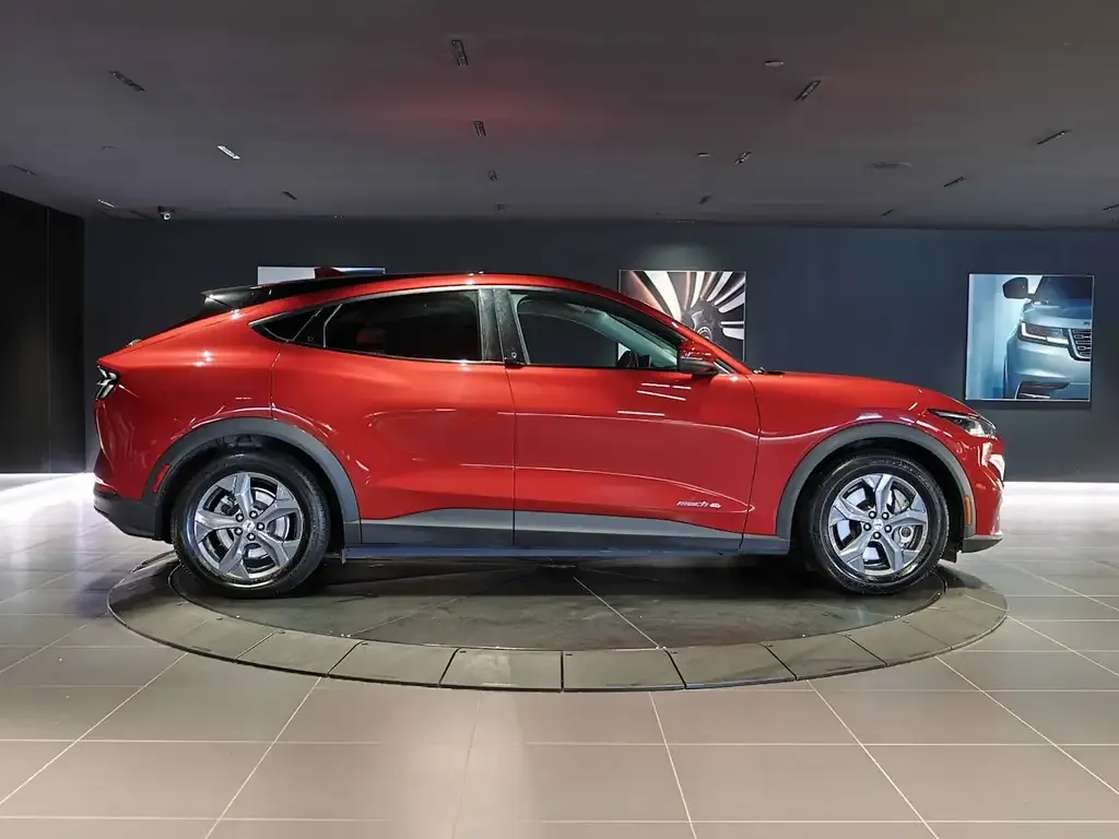 Ford Mustang Mach-E 2021 photo 4