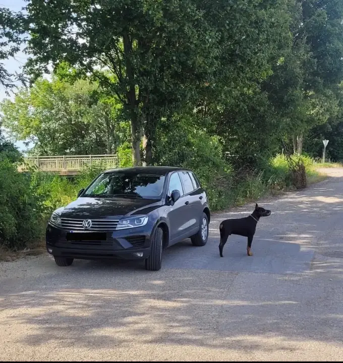 Volkswagen Touareg 2015 photo 2
