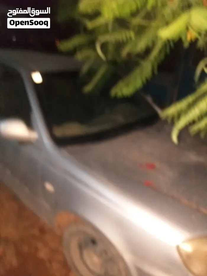 Hyundai Verna 2009 photo 4