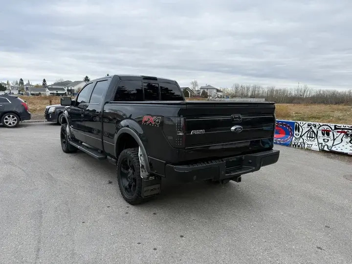Ford F-150 2014 photo 3