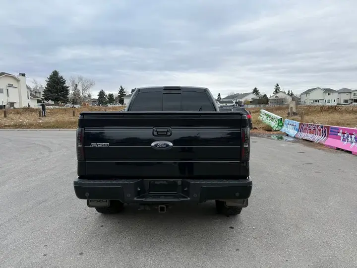 Ford F-150 2014 photo 4