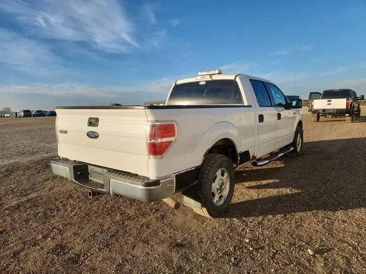 Ford F-150 2014 photo 4
