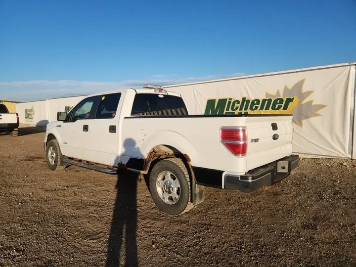 Ford F-150 2014 photo 3