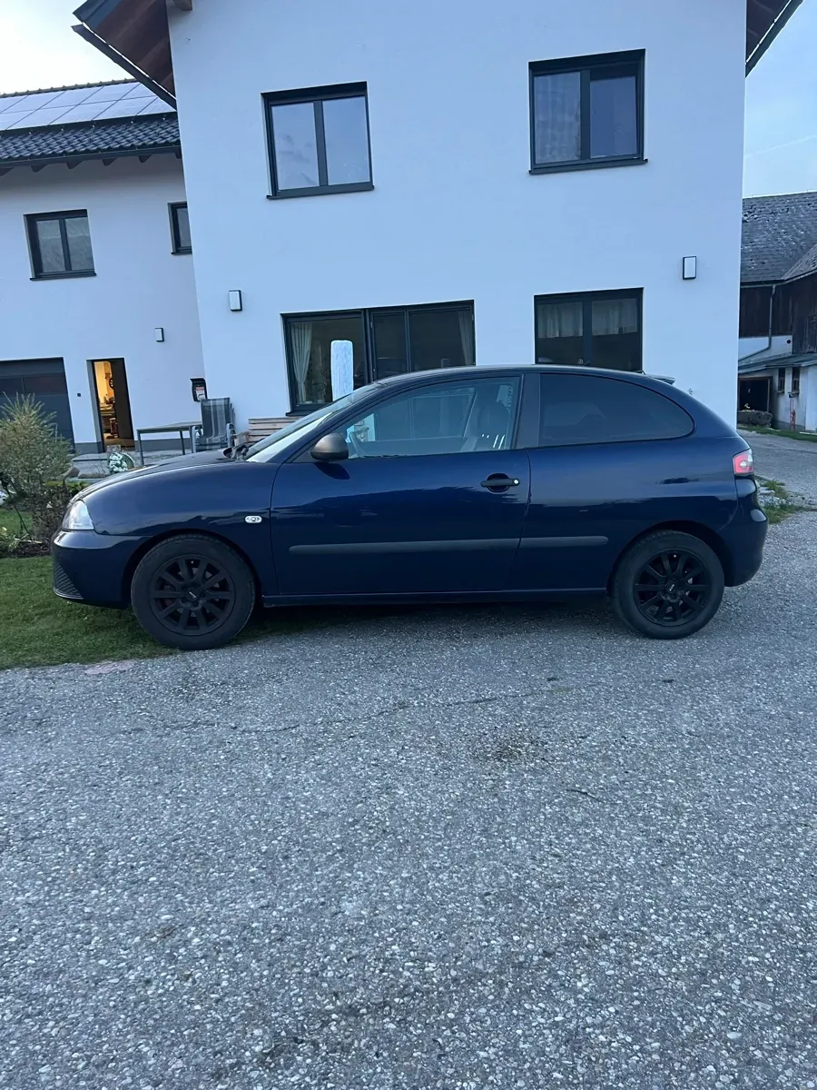 Seat Ibiza 2008 photo 3