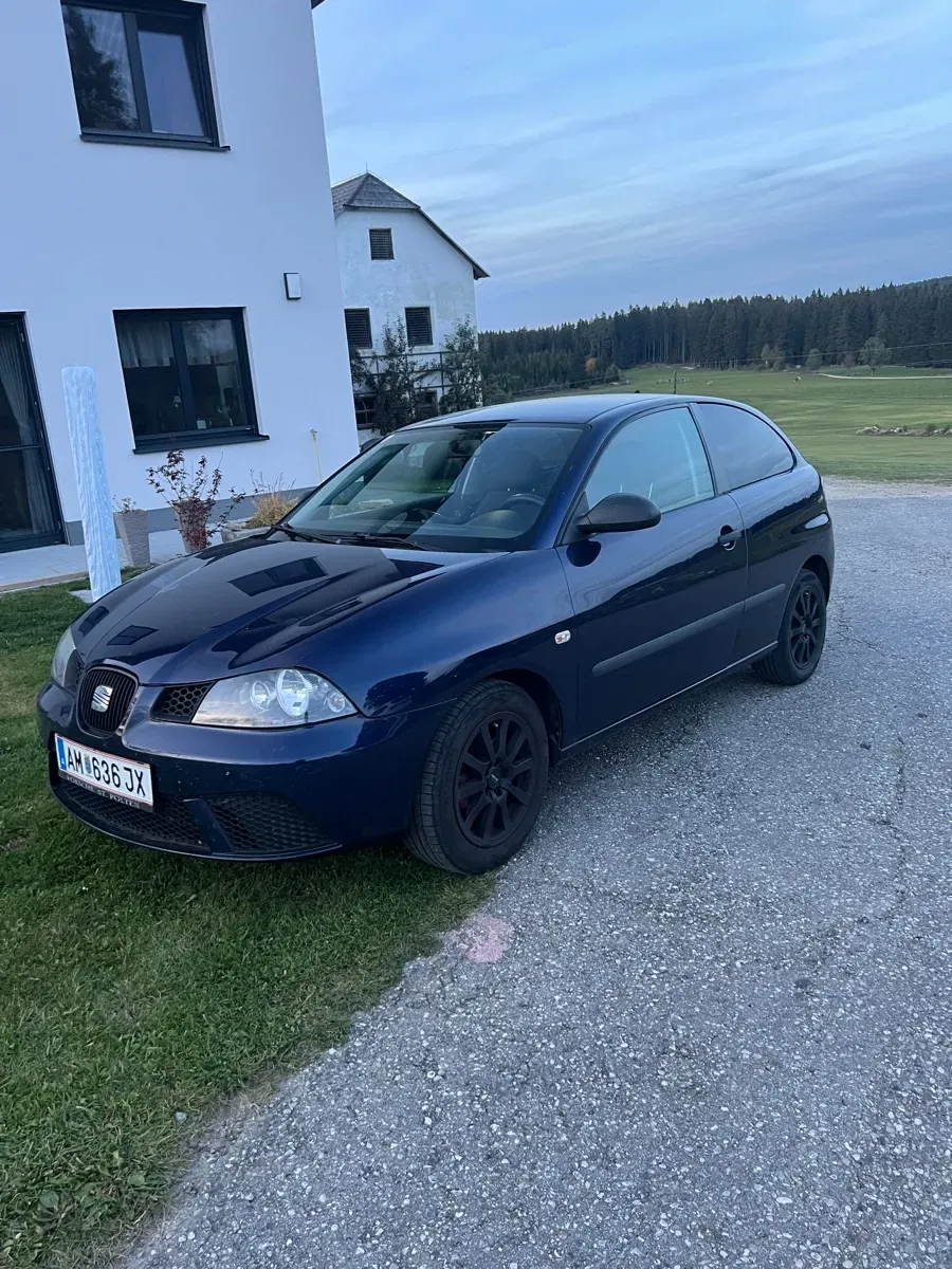 Seat Ibiza 2008 photo 2