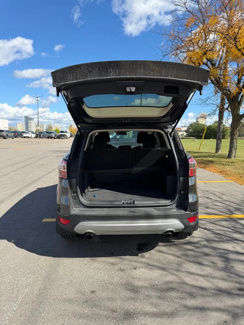 Ford Escape 2017 photo 4