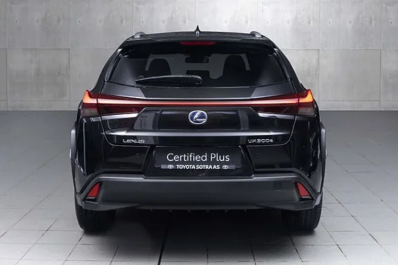 Lexus Ux300E 2021 photo 4