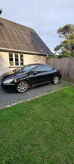 Peugeot 307 2004 photo 3