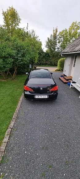 Peugeot 307 2004 photo 4