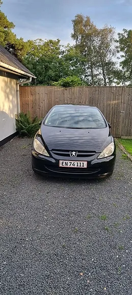 Peugeot 307 2004 photo 2