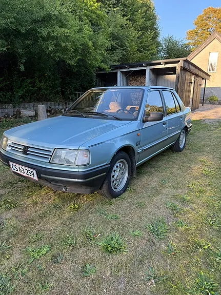Peugeot 309 1986 photo 3