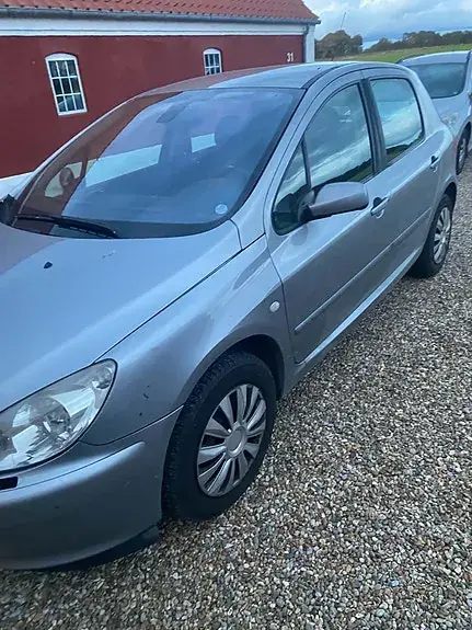 Peugeot 307 2005 photo 2