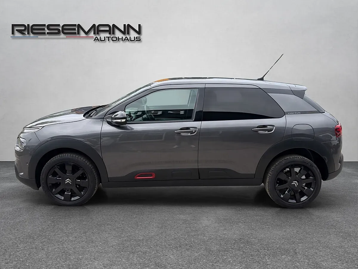 Citroen C4 Cactus 2018 photo 2