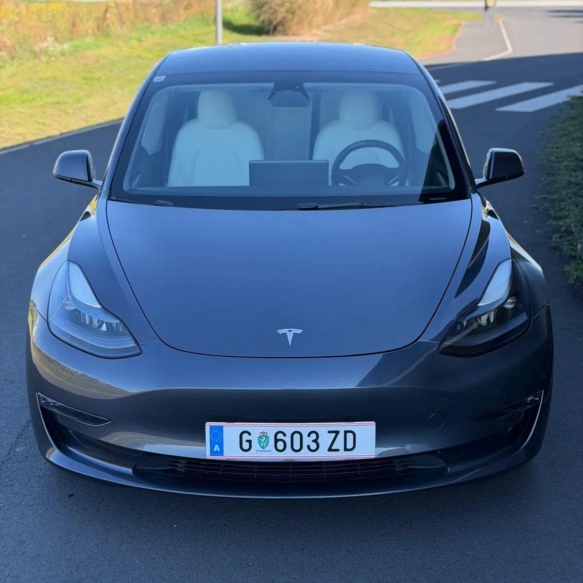 Tesla Model 3 2022 photo 2