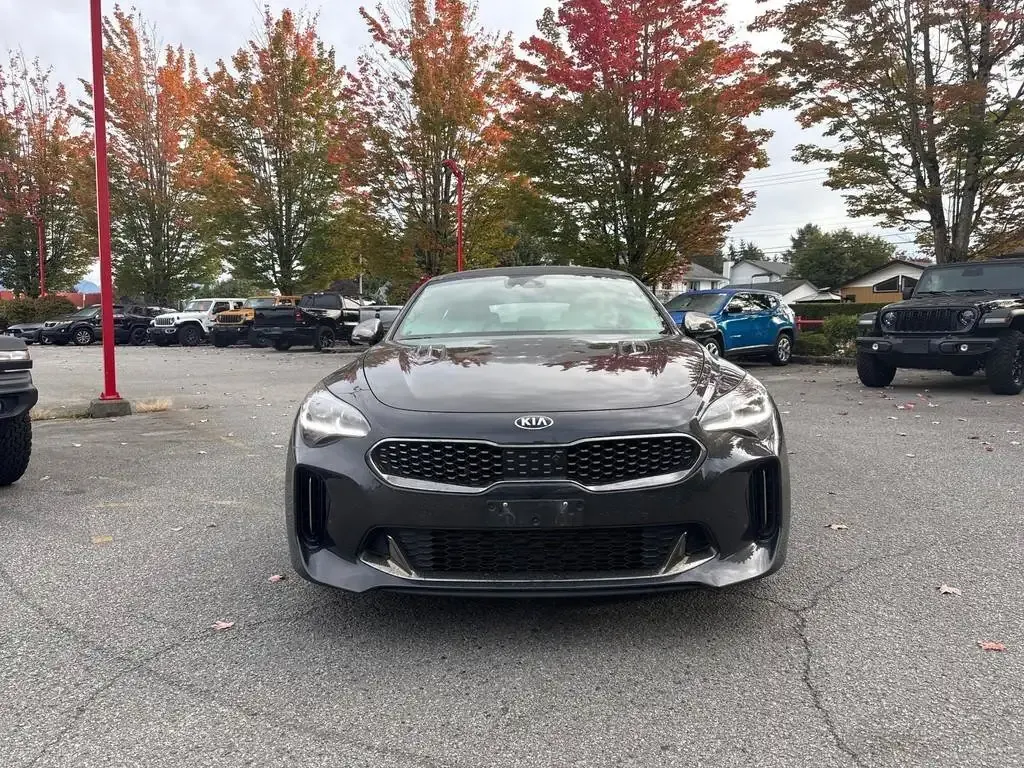 Kia Stinger 2019 photo 2