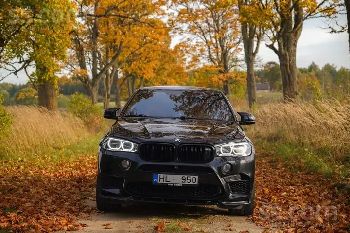BMW X6