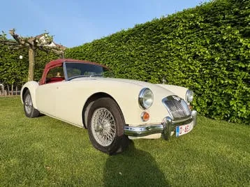 MG Mga